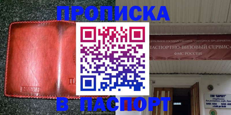 временная прописка в Чистополье